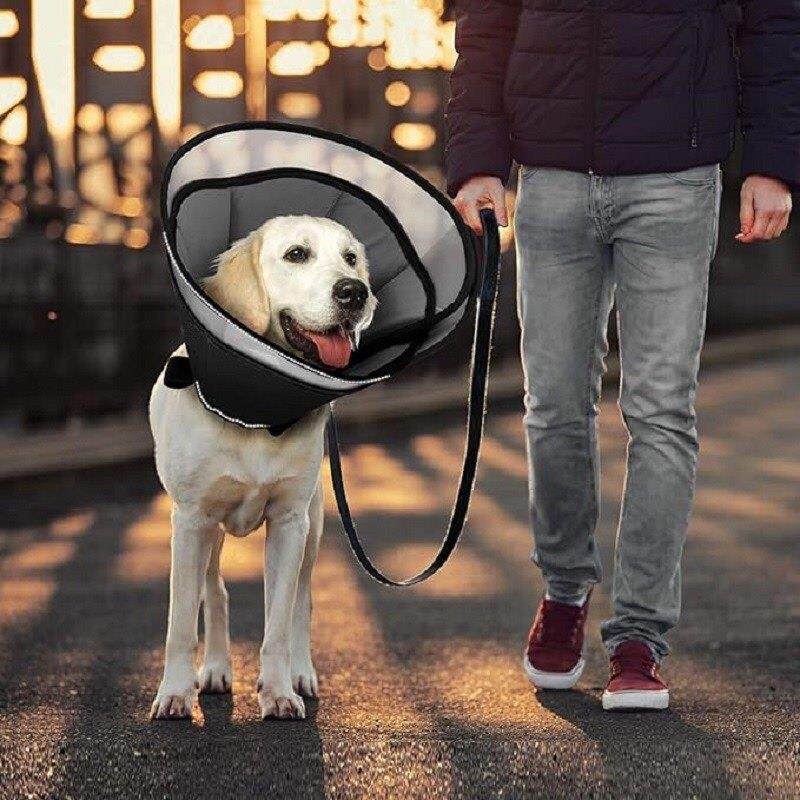 中大型犬耻辱圈宠物加深加大伊丽莎白圈狗防咬防舔防抓头套可调节,宠物/宠物食品及用品,宠物伊丽莎白圈,淘宝优惠券,粉丝福利购,淘宝优惠卷