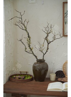 花曌 松萝枝干支干树枝诧寂风y造景客厅书桌面装饰枯枝家居瓶插花