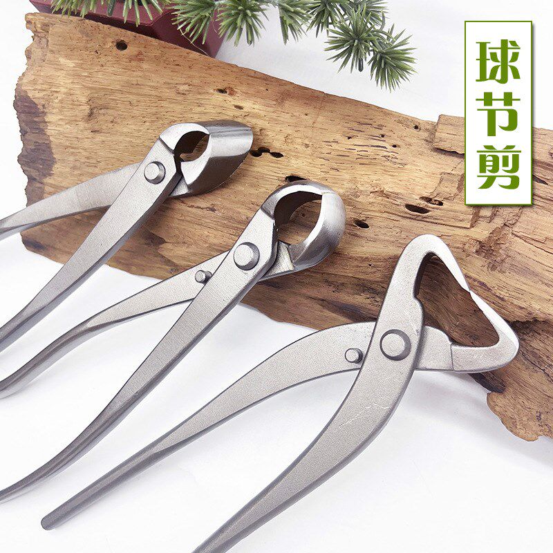 盆景修剪造型工具球形剪不锈钢球节叶芽剪刀钳P子修枝剪树瘤球节