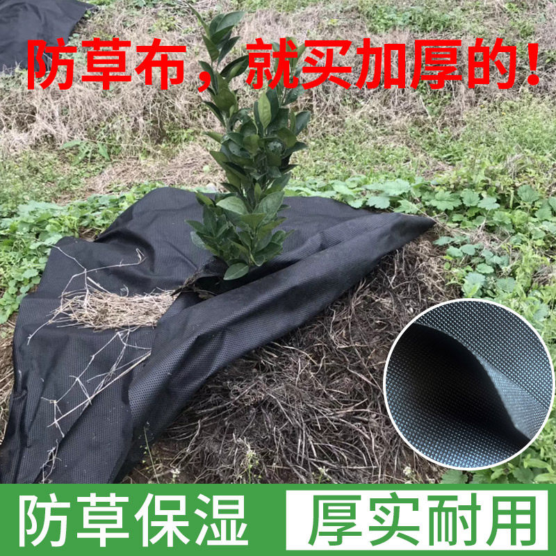 防草布除草布耐用加厚抗老化生态农用新型地布地膜果树果园无纺布,鲜花速递/花卉仿真/绿植园艺,其它园艺用品,淘宝优惠券,粉丝福利购,淘宝优惠卷