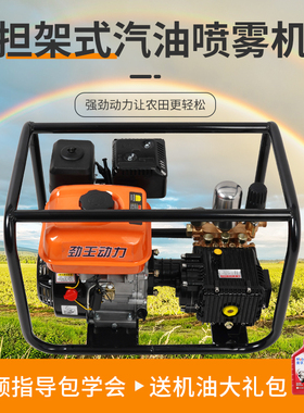 新式四冲a程高压汽油打药机农用园林果树直连式消毒杀菌神器喷雾