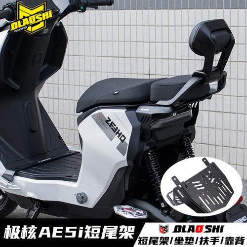适用极核AE5i pro电动车改装欧老师载人短尾架后坐垫扶手靠背配件