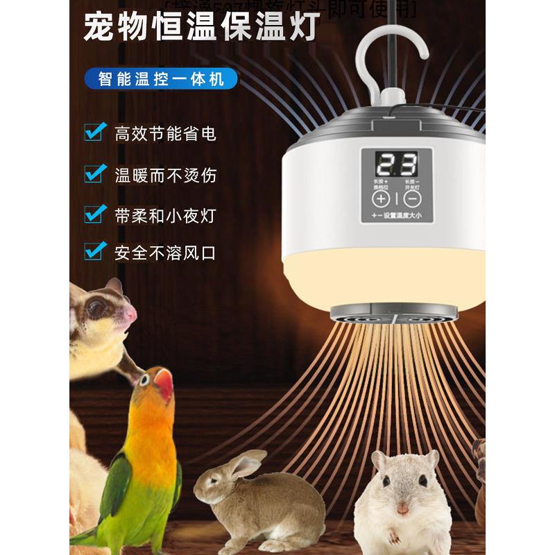 宠物鹦鹉保暖灯仓鼠刺猬蜜袋鼯过冬智能温控器恒温防烫加热保温灯
