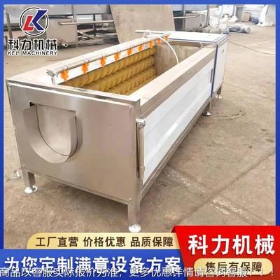 自动毛刷清洗 土豆红皮机器 萝机卜脱清洗BFY去薯泥机