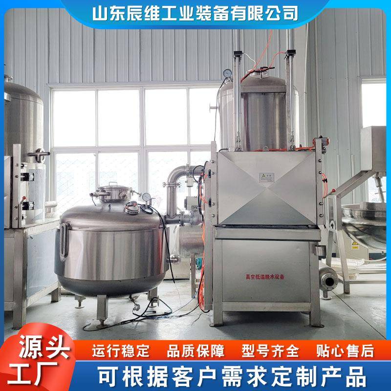 香蕉片红枣蔬菜多功能大型真空油炸机果蔬脆秀珍菇脆片加工机器