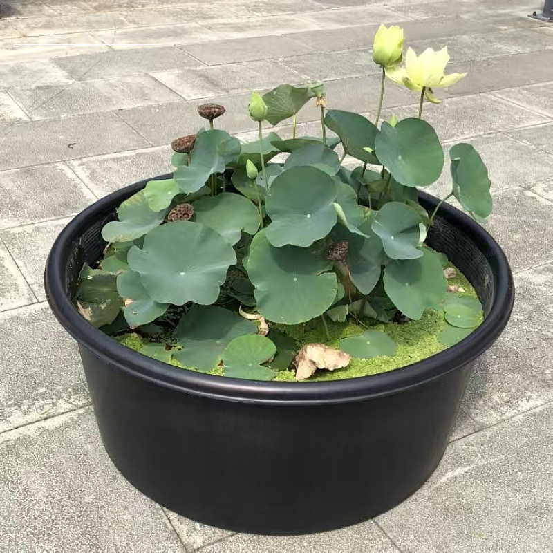 PE黑色睡莲荷花盆 食品级塑料圆盆 PE新料滚塑一次成型塑料圆桶