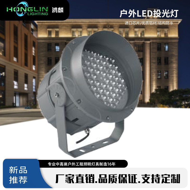 公园假山照树户外防水LED桥梁投光灯可防眩单色内控七彩36*2W