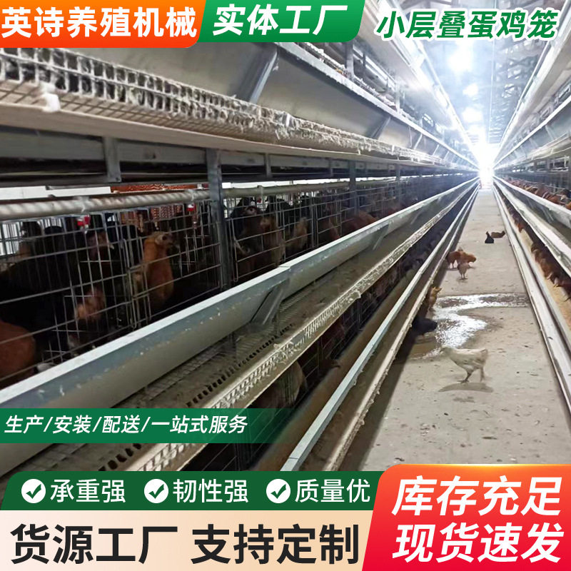 青年鸡笼多层阶梯式蛋鸡笼鸡笼子加粗养殖笼具养殖设备