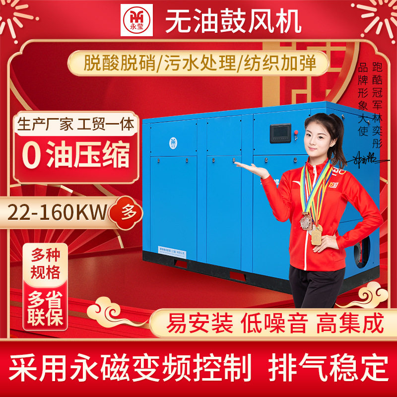 污水处理永磁变频无油螺杆鼓风机