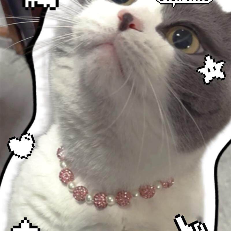 宠物项链GemoGemo满天星猫狗通用项链兔子项圈宠物项链小型猫犬