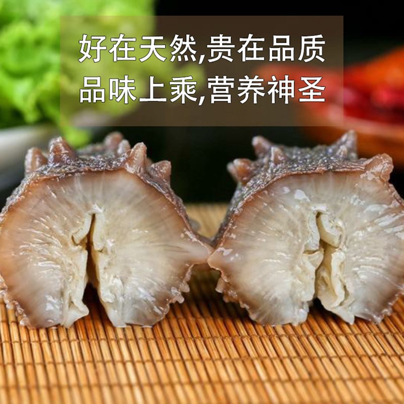 即食海参鲜食海参 野生即食大连海参辽参刺参海生鲜食单个装 海参