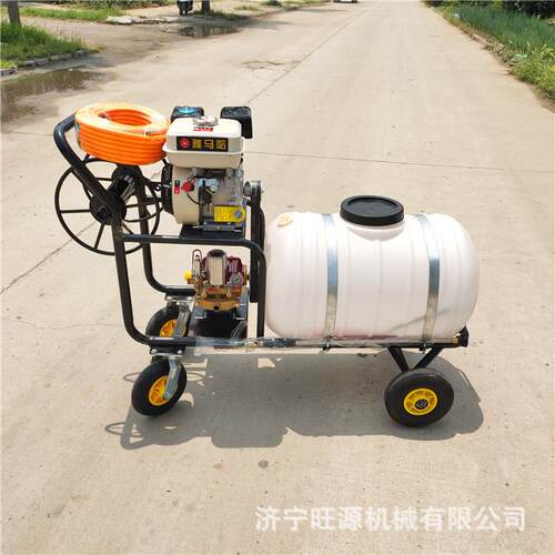 汽油手持式打药机拉管式手推式打药机果园电动手推式打药机