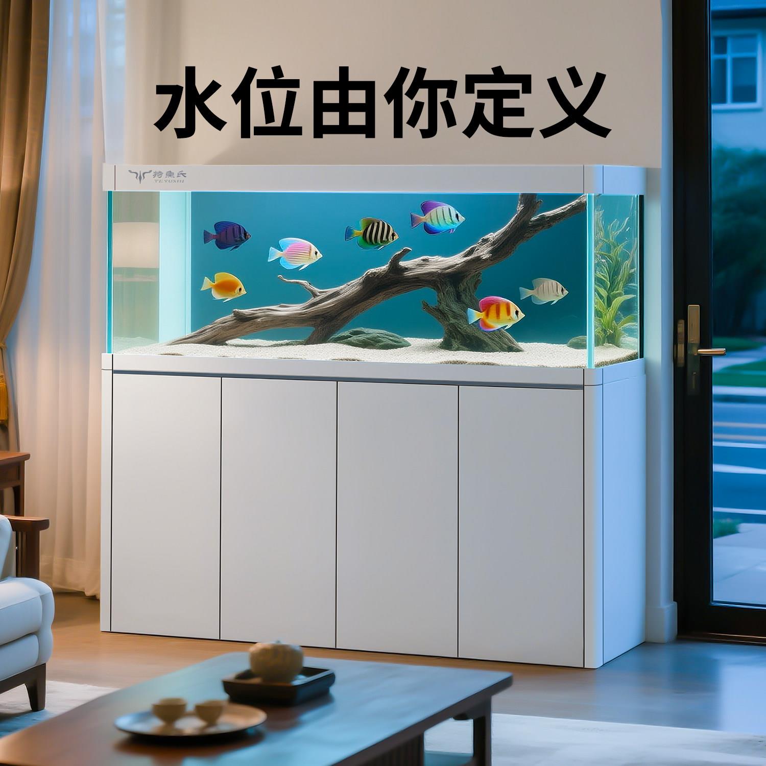 特鱼氏新款大型客厅家用超白玻璃底过滤鱼缸红龙吉罗缸向川PLUS