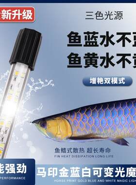 马印神灯增艳灯金龙专用灯雷龙鱼缸灯水族灯led防水灯古典金龙灯