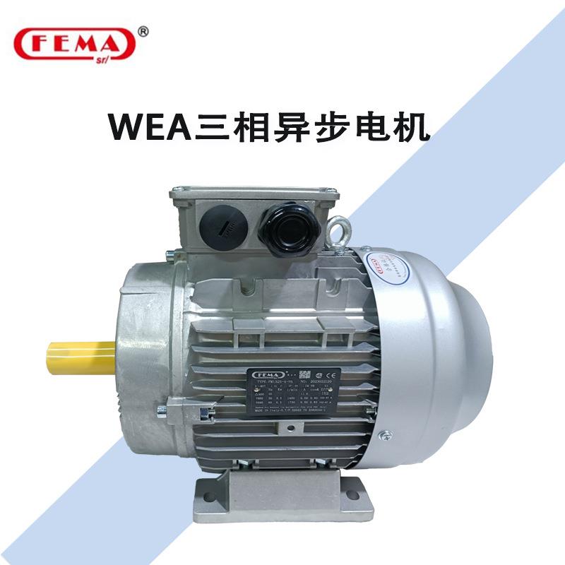 132S4基座WEAseries IE2系列高效节能环保三相铝壳异步电动机