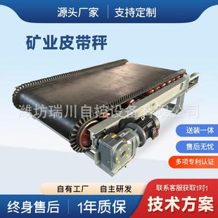 B500配料皮带秤洗煤厂定量给料机计量皮带式高精度给煤机全自动