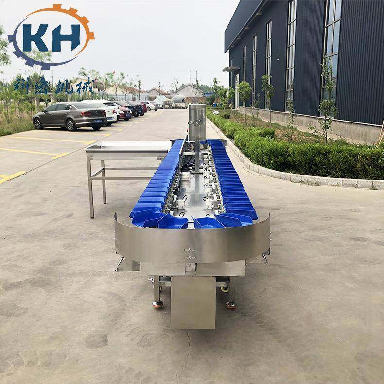 脐橙苹果猕猴桃分选机选果机自动称重分拣机螃蟹牡蛎鱼重量分选机,工业油品/胶粘/化学/实验室用品,其他实验室设备,淘宝优惠券,粉丝福利购,淘宝优惠卷