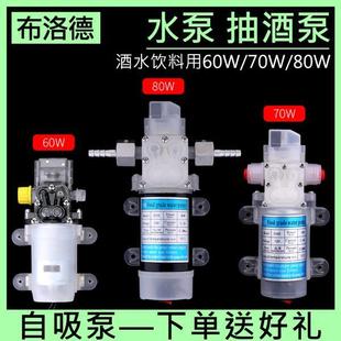 抽水泵微型小水泵分转移液体灌装 自吸式 工具家用设备