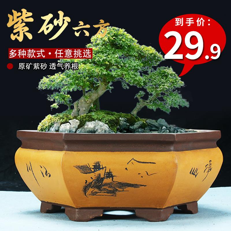 六方刻绘紫砂花盆特价清仓透气绿植花卉陶瓷盆栽大口径六角盆景盆