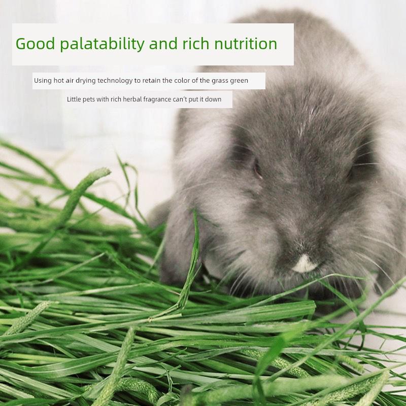 25岁7A级新草蒂莫西烘干全草兔栗鼠豚鼠牧场饲料北方干草段食品