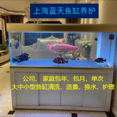 上海周边地区鱼缸观赏鱼水族箱定期维护清洗养护