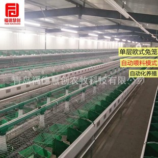 养兔子种兔设备 笼具24笼位欧式自动喂料繁育兔笼