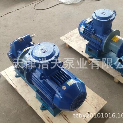 磁力齿轮泵TDCL-12 沥青 机油 柴油 渣油 稠油 重油 胶水齿轮泵
