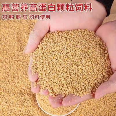 五黑鸡芦花鸡贵妃鸡白凤乌鸡家鸭大鹅开口饲料5斤装包邮