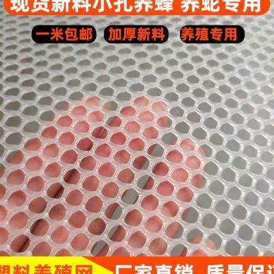 加厚阳台防护网塑料平网养鸡养殖网格片防猫网防坠网围栏隔离胶网