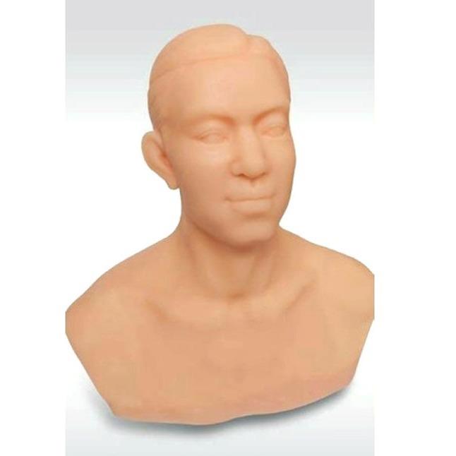 ZJ-T 针灸头部训练模型