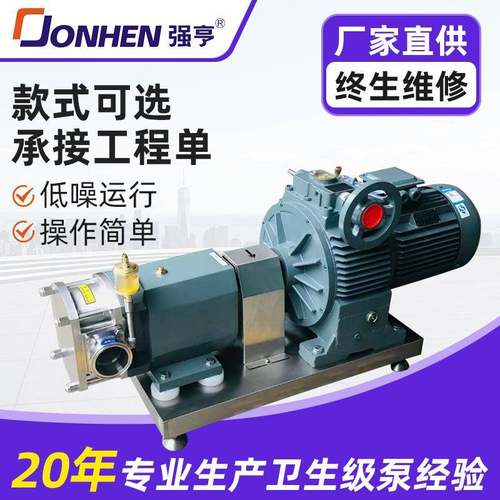 无极调速变频转子泵输送泵椰肉果肉果酱果汁输送电动泵头