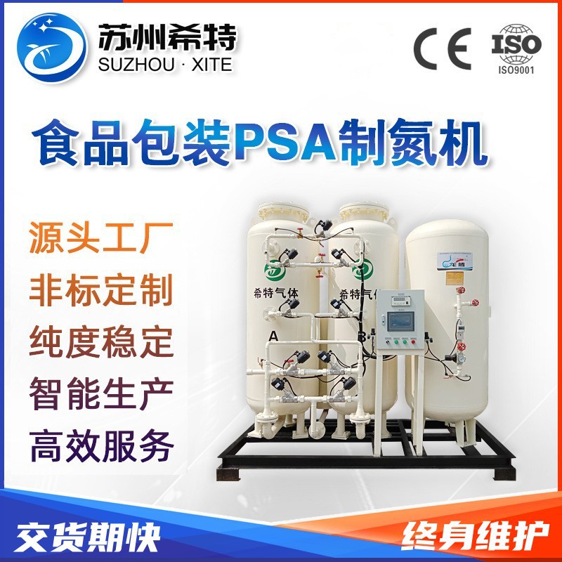 咖啡膨化食品包装制氮机 99.99现场高纯氮气机食品包装制氮机厂家