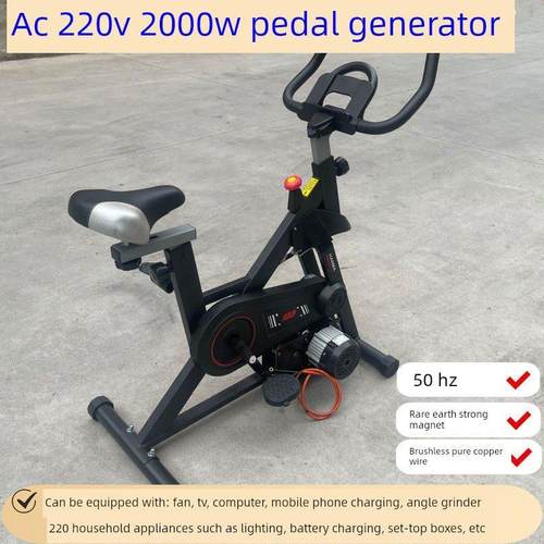 220V 2000瓦脚踏发电机旋转单车健身12V 48V60V72伏永磁交流充电