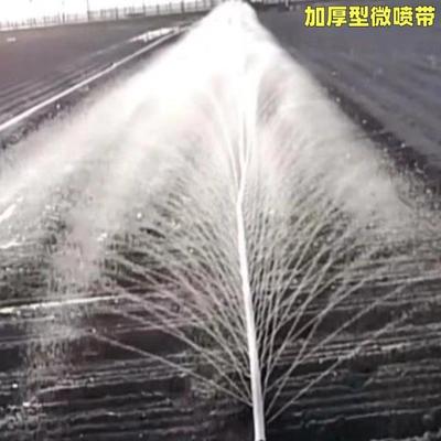 全新进口料微喷带喷水带滴灌带雾化灌溉微喷喷灌滴灌设备水管喷管
