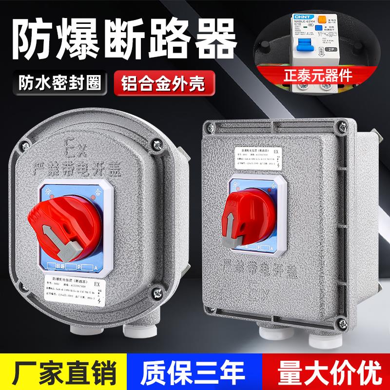 防爆断路器配电箱防爆空气开关10A25A32A63A 控制箱漏电保护空开
