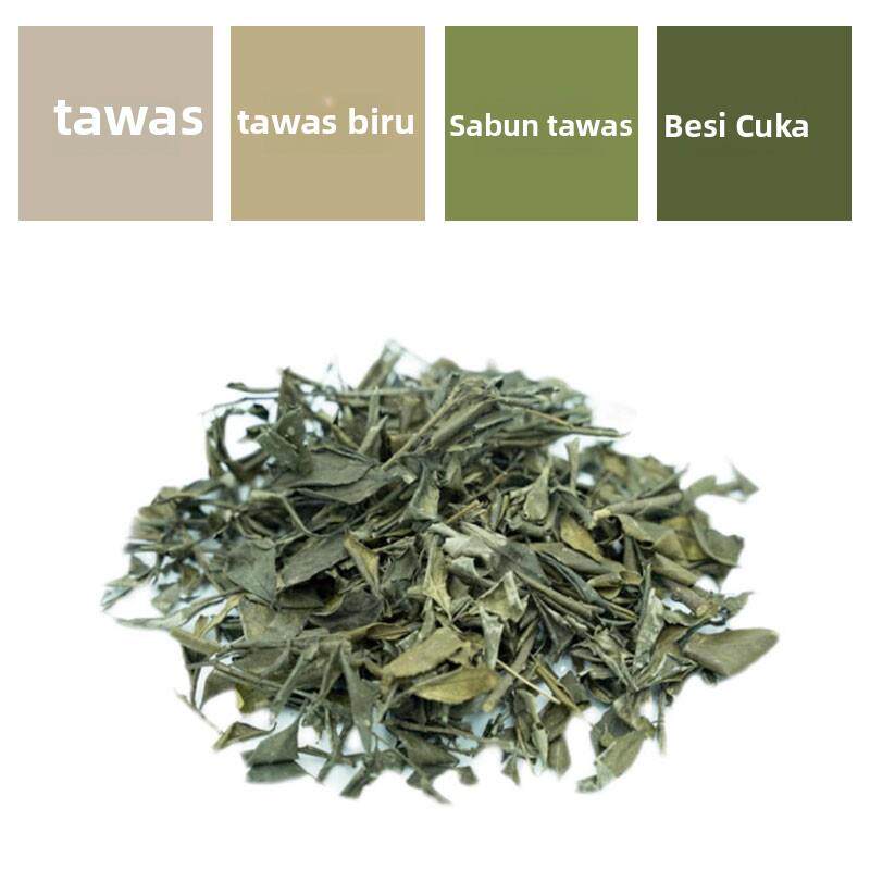 冻绿 中国绿植物染料DIY手工传统印染草木染