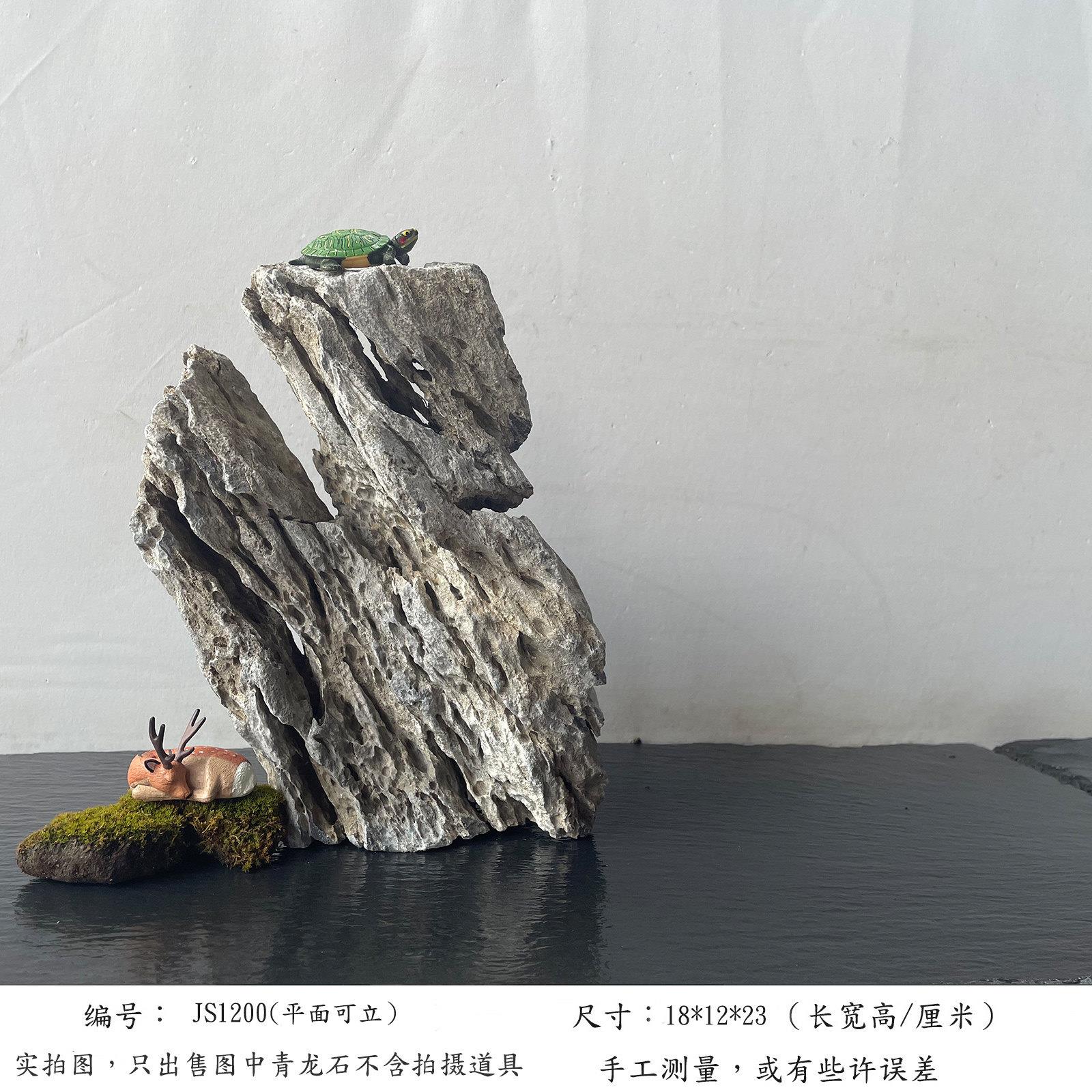 一石成景鱼缸造景青龙石转圈石草缸水陆缸山水旱景盆景附石龟爬石
