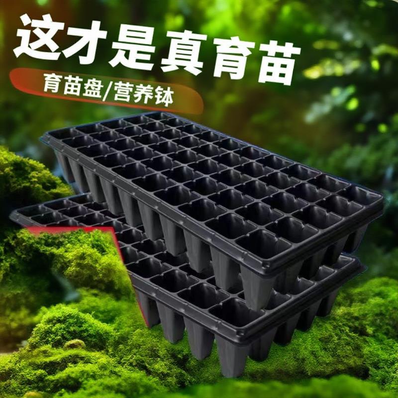 育苗盘穴盘辣椒玉米黄瓜育苗新料保量塑料可降解材料育苗器营养钵