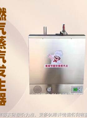 （优性产品热销）煤气天然气挂壁式蒸汽发生器代替锅炉