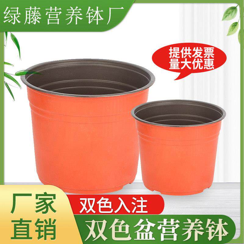 育苗盆双色加厚多肉花盆一次性摔不坏营养钵抗氧化塑料育苗杯大号