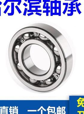 哈尔滨轴承6317 6318 6319 6320 6322 6324 6326 6328 6330 RZ RS