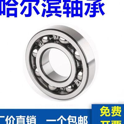 哈尔滨轴承6317 6318 6319 6320 6322 6324 6326 6328 6330 RZ RS