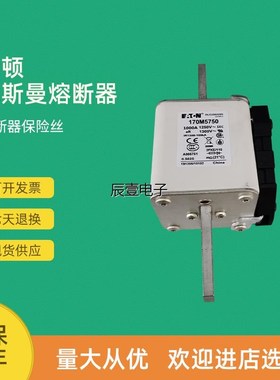 全新快速熔断器保险170Mn5750 170M5751 170M5758 170M5759