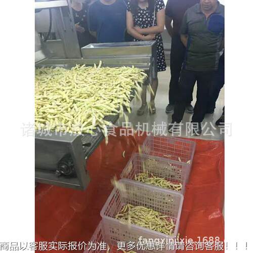 厂家 动芸豆流线 菜清洗机全自蔬菜清洗FX-600杀净水菌设备