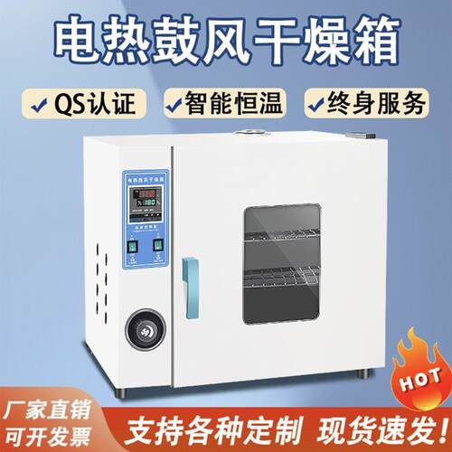 电热恒温鼓风干燥箱实验室烤箱工业用高温小型烘干机加热烘箱