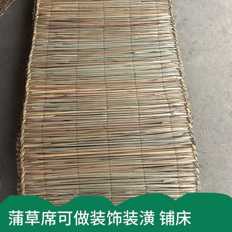 农村手工编织蒲子席蒲草席农村拍摄装修道具单人床垫
