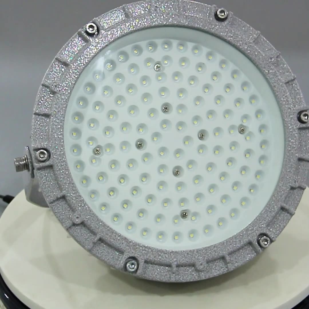 防爆护栏式马路灯立式2.5米50W100w驱动电源方形防爆泛光灯