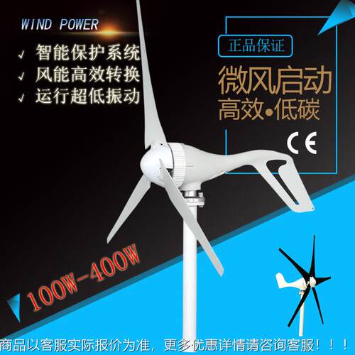 微风动300路WS2型小型12V风力发启电机工风光互补灯程新能源交流