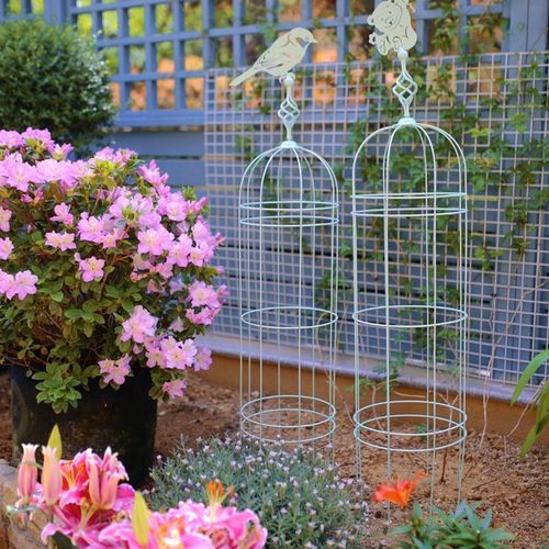 一套铁线莲花架爬藤架铁艺藤本攀爬庭院装饰户外仙子花架花盆支架