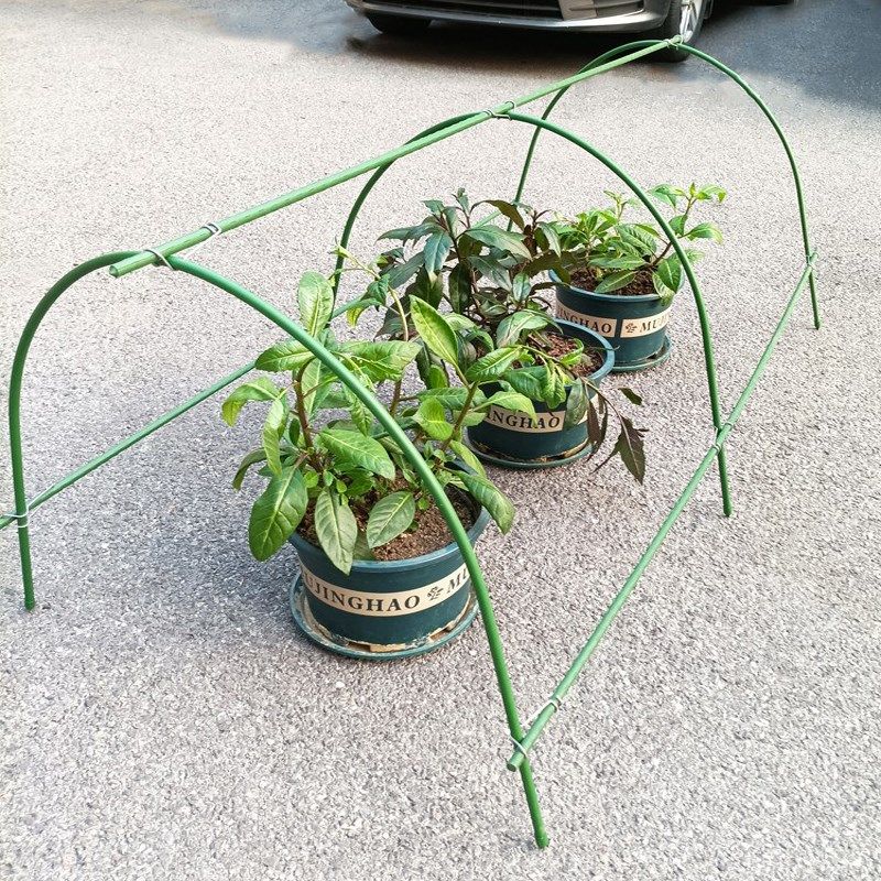 种菜棚架 菜地小拱棚 菜园棚架 种菜专用棚架 蔬菜地育苗拱棚保温